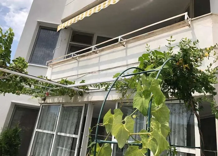 вангелов شقة