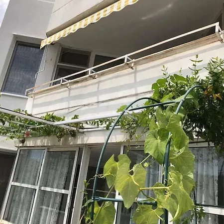 вангелов شقة